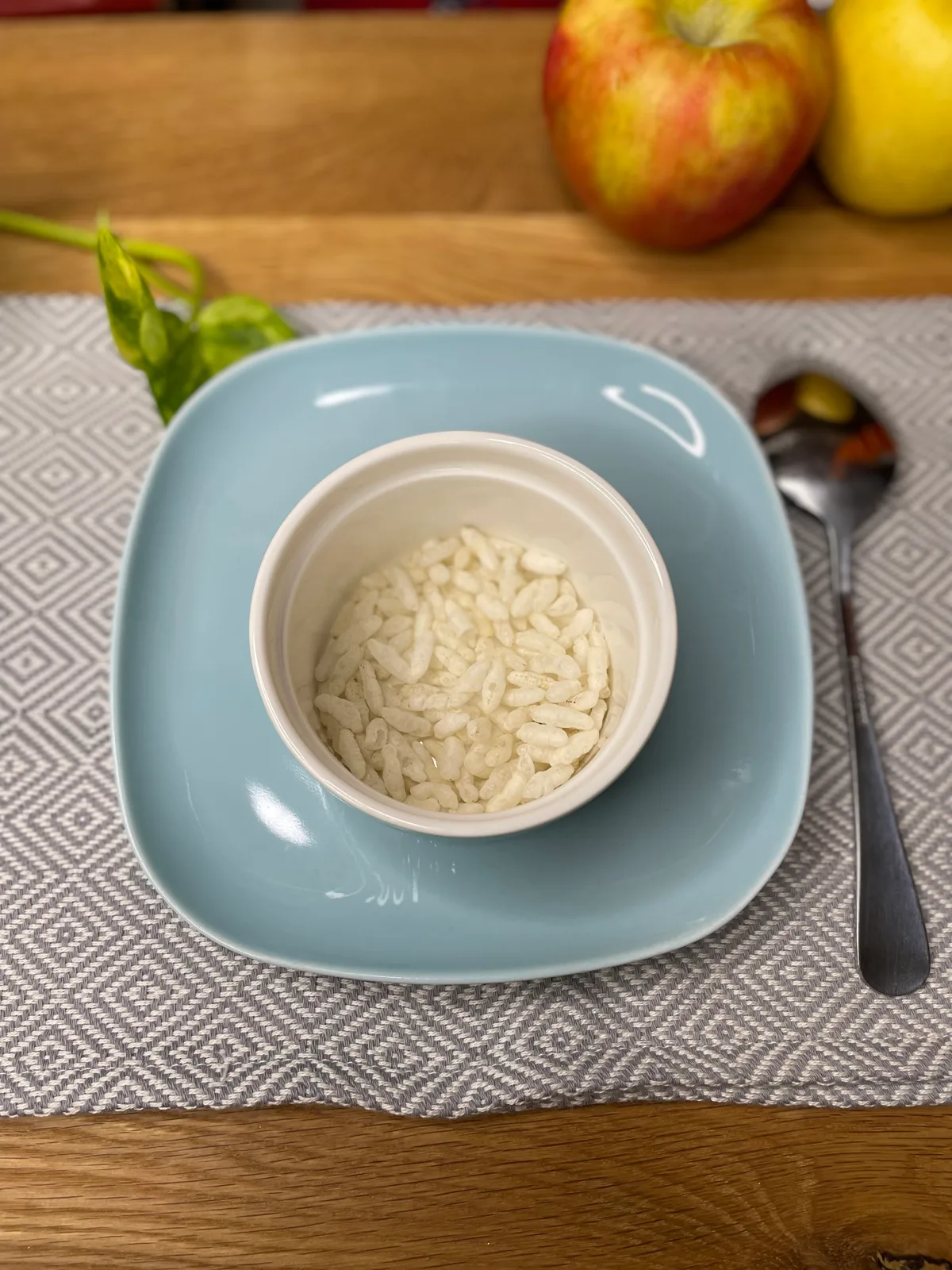 Magnetic bowl